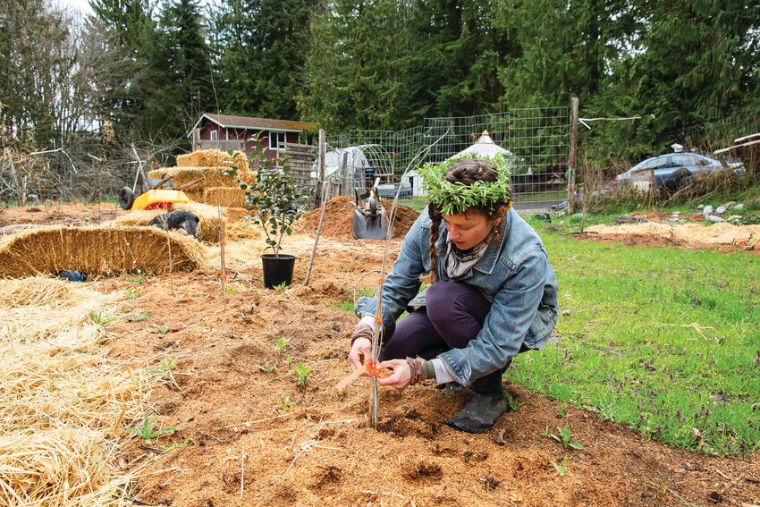 Shaelee Evans working in the garden at Goodness Tea Farm.