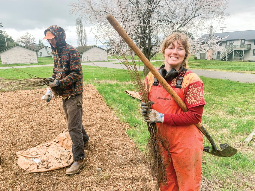 Zack Lane, left, and Taylor Choate of Sound Native&nbsp;Plants prepare to plant bare-root native plants.