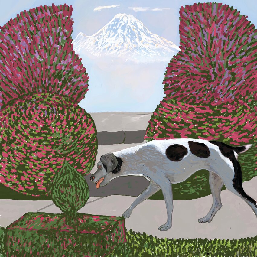 &ldquo;Mt. Rainier In Another Light&rdquo; by Linda Okazaki.