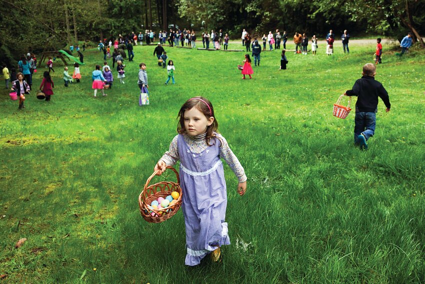 Ruby Groussman, 5, of Port Townsend hunts for Easter eggs at Fred Lewis Scout Cabin Park on April 5, 2015. Dozens of youngsters under age 12 hunted for more than 60 dozen eggs during the event, organized by The Marvin G. Shields American Legion Post No. 26 Ladies Auxiliary.