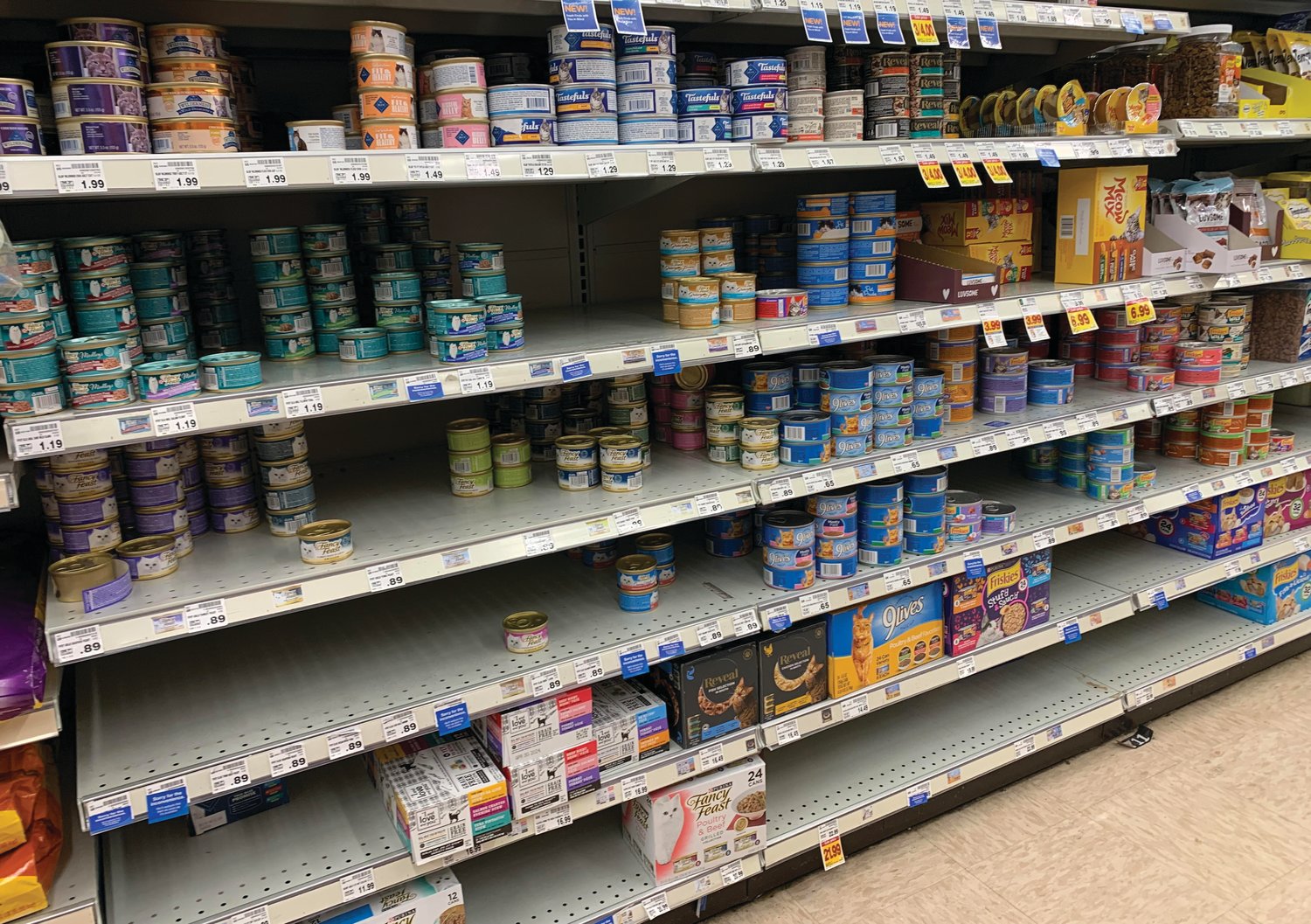 The local QFC store showed a smattering of cat food varieties on Monday, Jan. 17, but there seemed to be no rhyme nor reason as to why certain items were sold out.