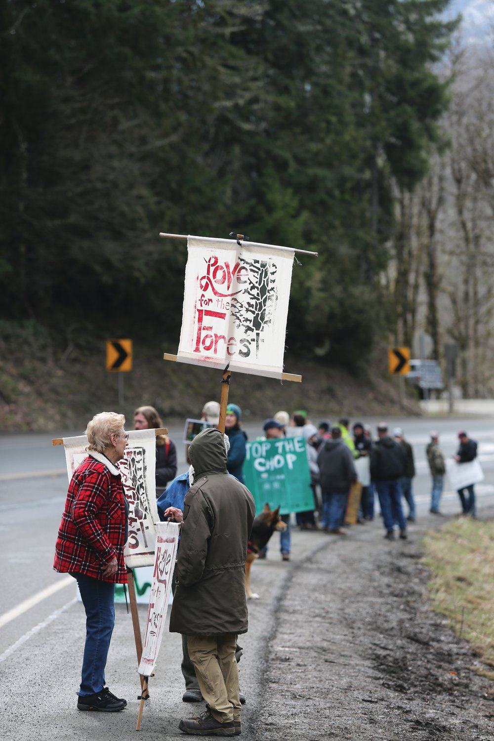 Protestors against the logging operation march down the road toward the Elwha River after the rally to gather for a group photo.
