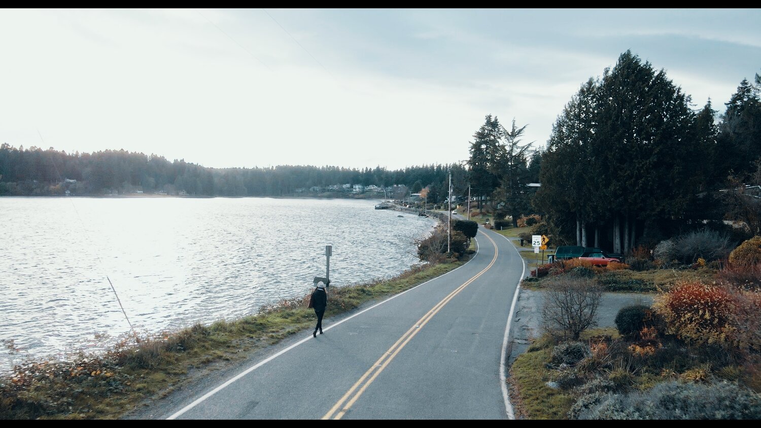 ‘Ingress,’ shot on Bainbridge Island, screens here May 10 | Port ...