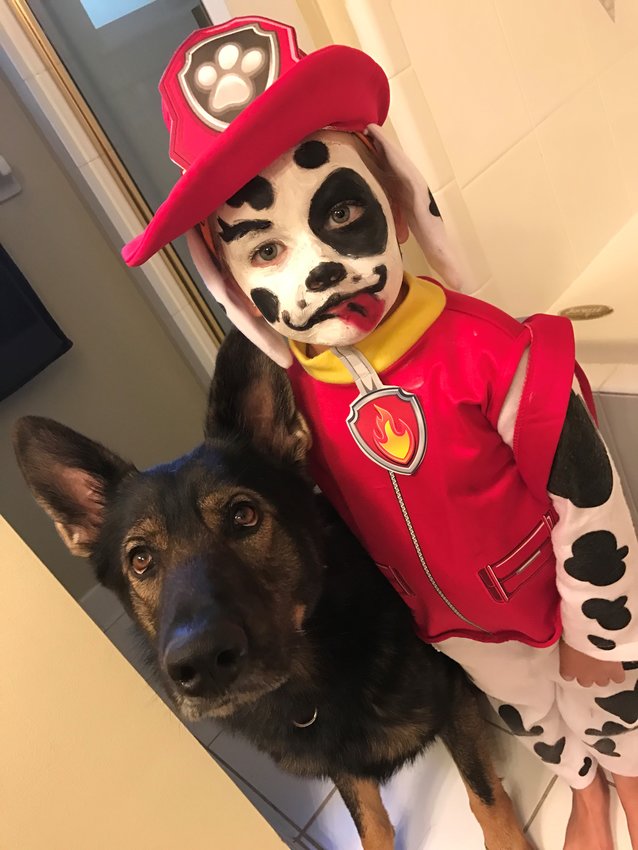 Take precautionary measures to protect your dog before the trick-or-treating gets started.