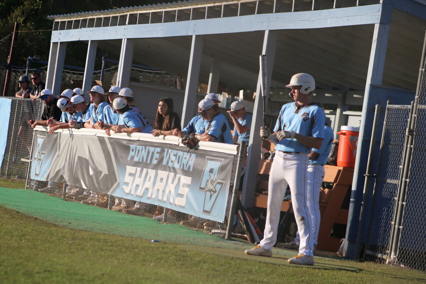 The entire Sharks&rsquo; batting order has been feeling confident at the plate of late.