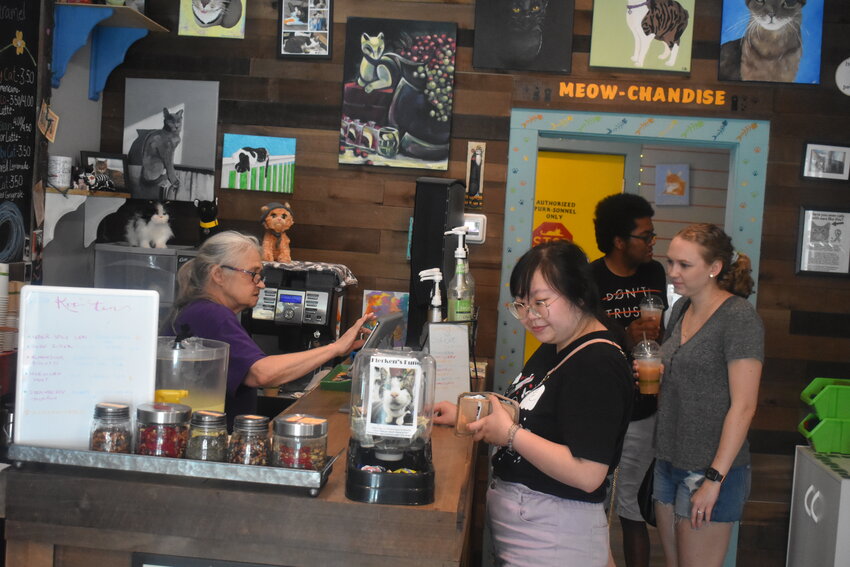 The Caffeinated Cat is a unique coffee shop in Jacksonville Beach that offers animal lovers the opportunity to enjoy a drink with feline friends. A group of regular customers gather around the drink counter during a recent visit to the caf&eacute;.