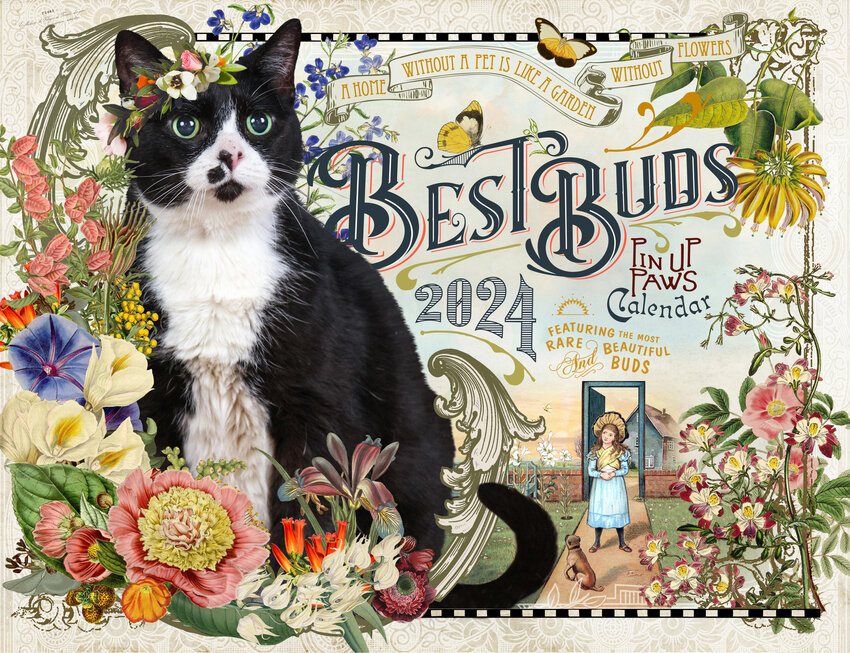 Last year's cover cat, Katherine, owned by Jay Johnson.