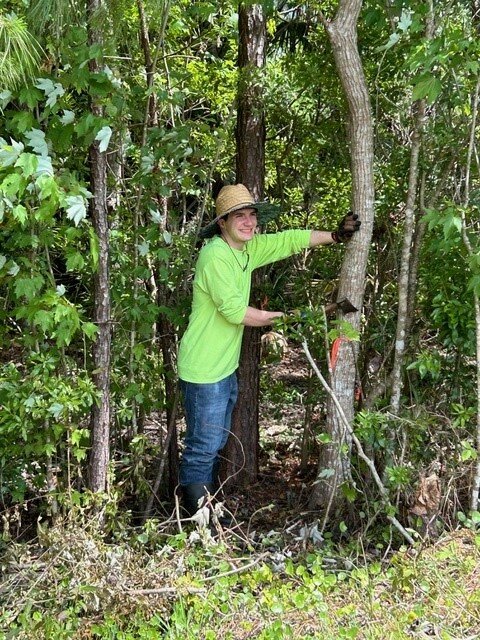 Local Eagle Scout Nicholas Storm uses and ax to mark Chinese Tallow trees, considered a &ldquo;noxious weed,&rdquo; on Lord of Life Lutheran Church property.