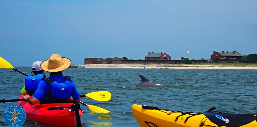 Amelia Island Kayak Excursions kayakers encounter a dolphin near Fort Clinch.