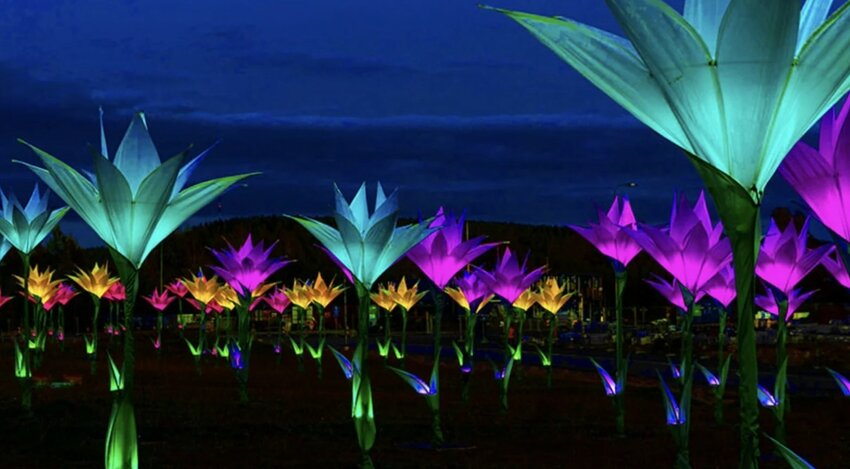 The Jacksonville Zoo and Gardens is featuring IllumiNights Summer Spectacle on various nights until July 28.