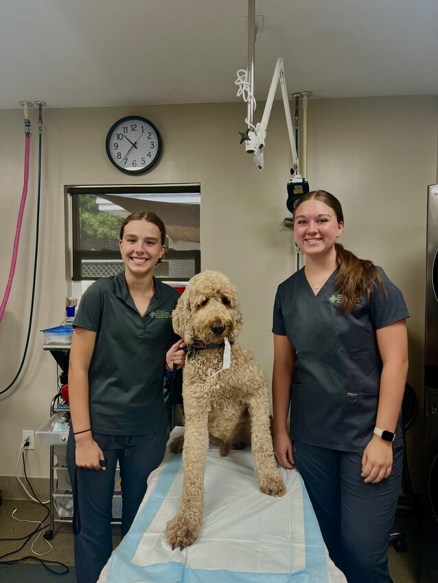 Interns Ainsley and Mallie with a puppy patient