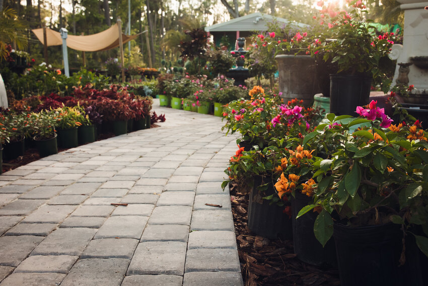 The nursery at Kathy’s Creative Gardens