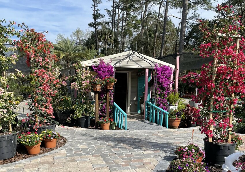 Kathy’s Creative Gardens & Nursery