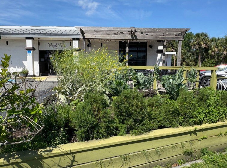 Royal Palm Village Wine & Tapas won a pair of awards such as the Commercial Landscape of the Year and the People’s Choice Award for their edible garden in front of the restaurant.