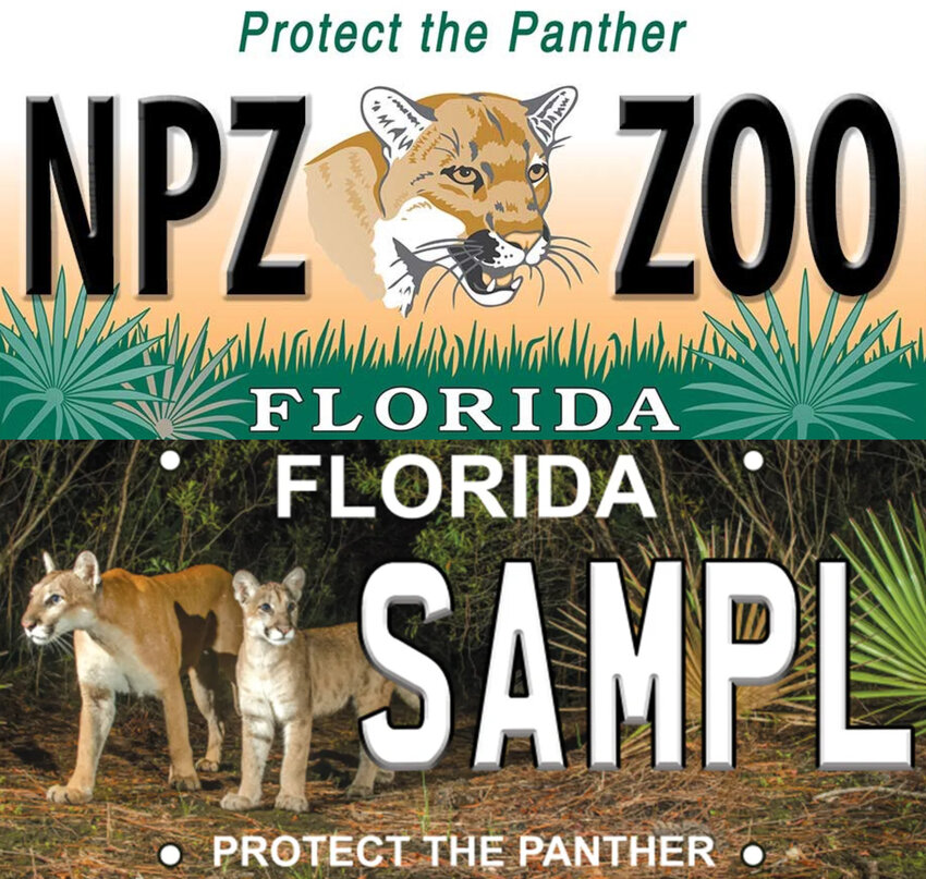 The old (top) and new (bottom) Protect the Panther Florida license plates.