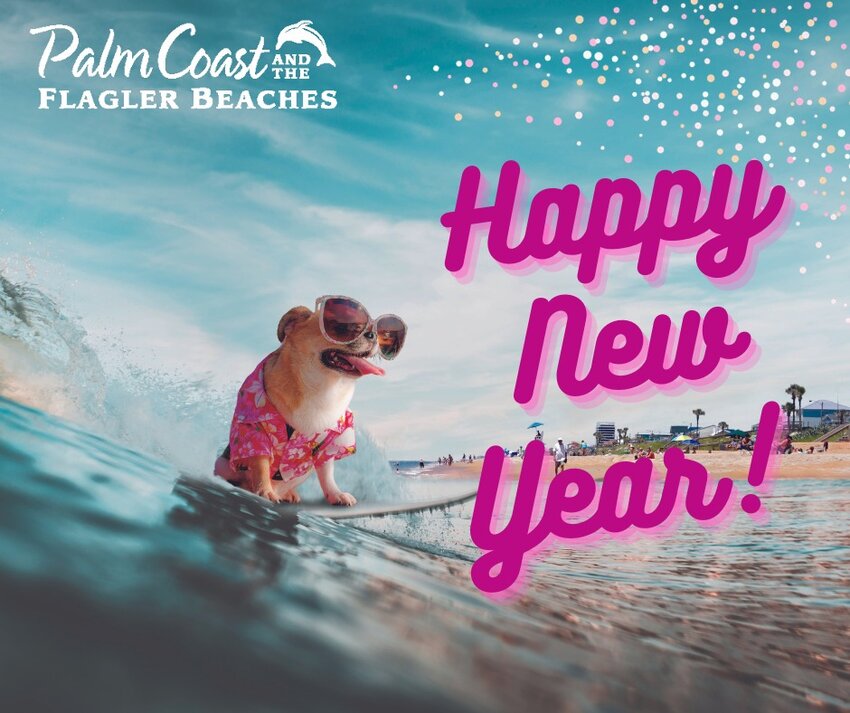 The Flagler County tourism ad featuring a surfing dog.