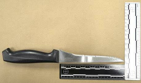 The knife said to have been used by Gould.