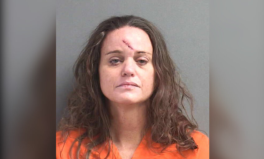Shanna McRee's mugshot showing the wound reportedly caused by Officer Jacob Cannon. | Volusia County Branch Jail