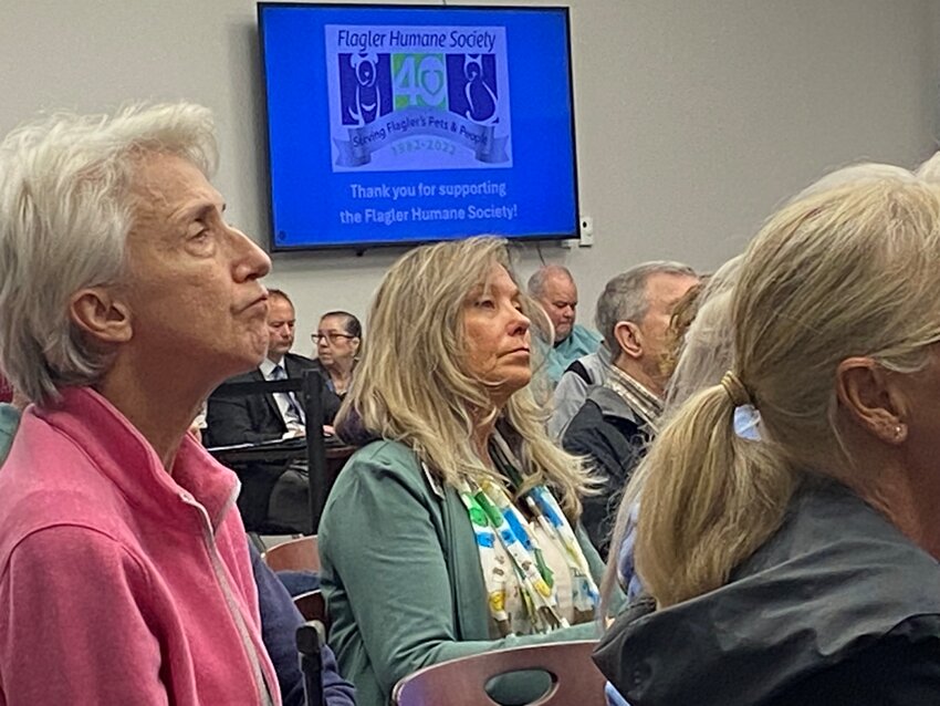 Amy Caroteuto at the City Council meeting.