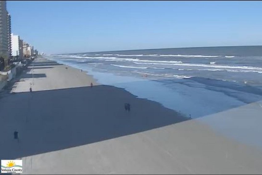 dunlawton beach cam