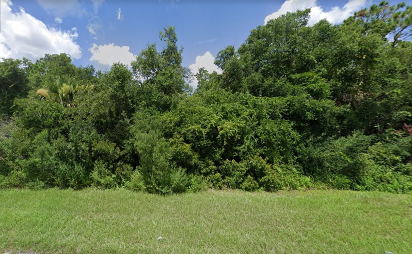 The area of woods where the remains were reported to be found.