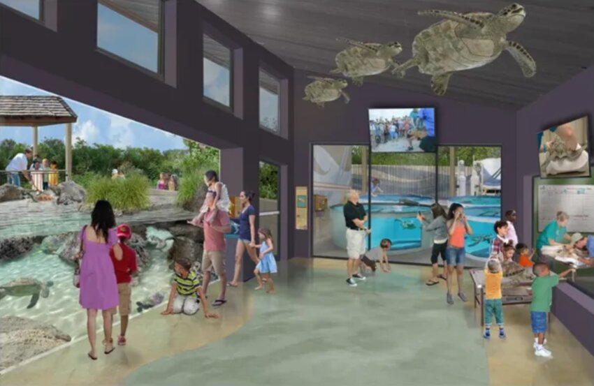 A rendering of the Brevard Zoo's proposed aquarium.