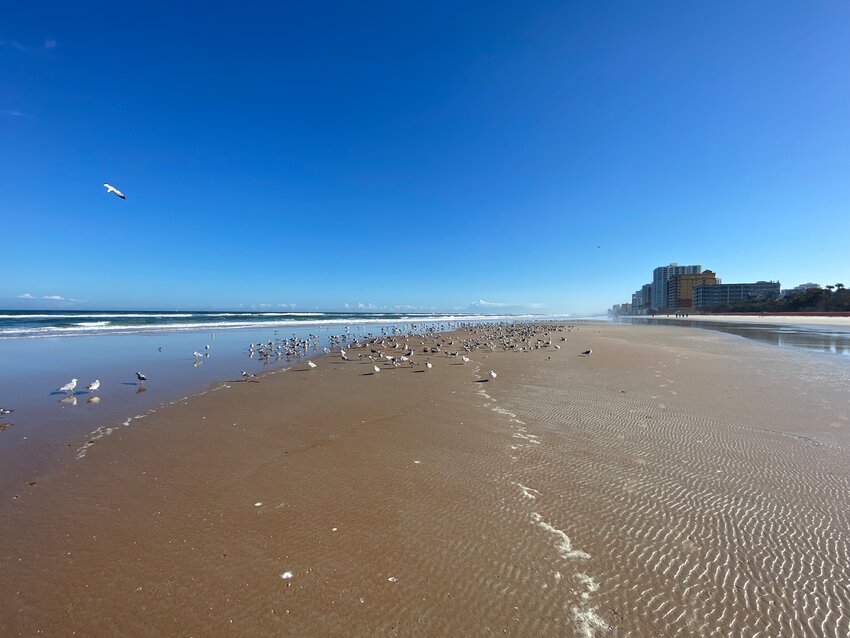 Hurricane Ian was particularly damaging to coastal communities like Daytona Beach Shores, shown here.