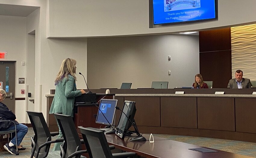 Amy Caroteuto speaks before the City Council.