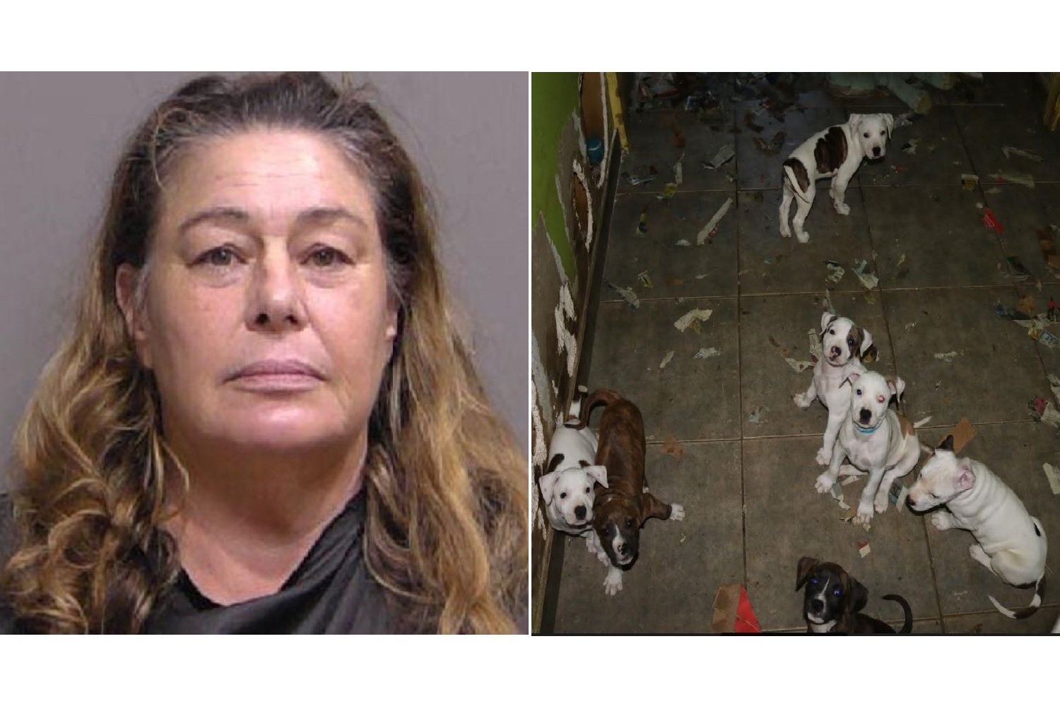 Ruth Ann Rupprecht and the puppies found in her animal shelter