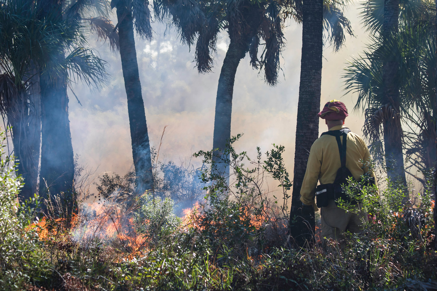 129 Acre Wildfire Contained In Daytona Beach