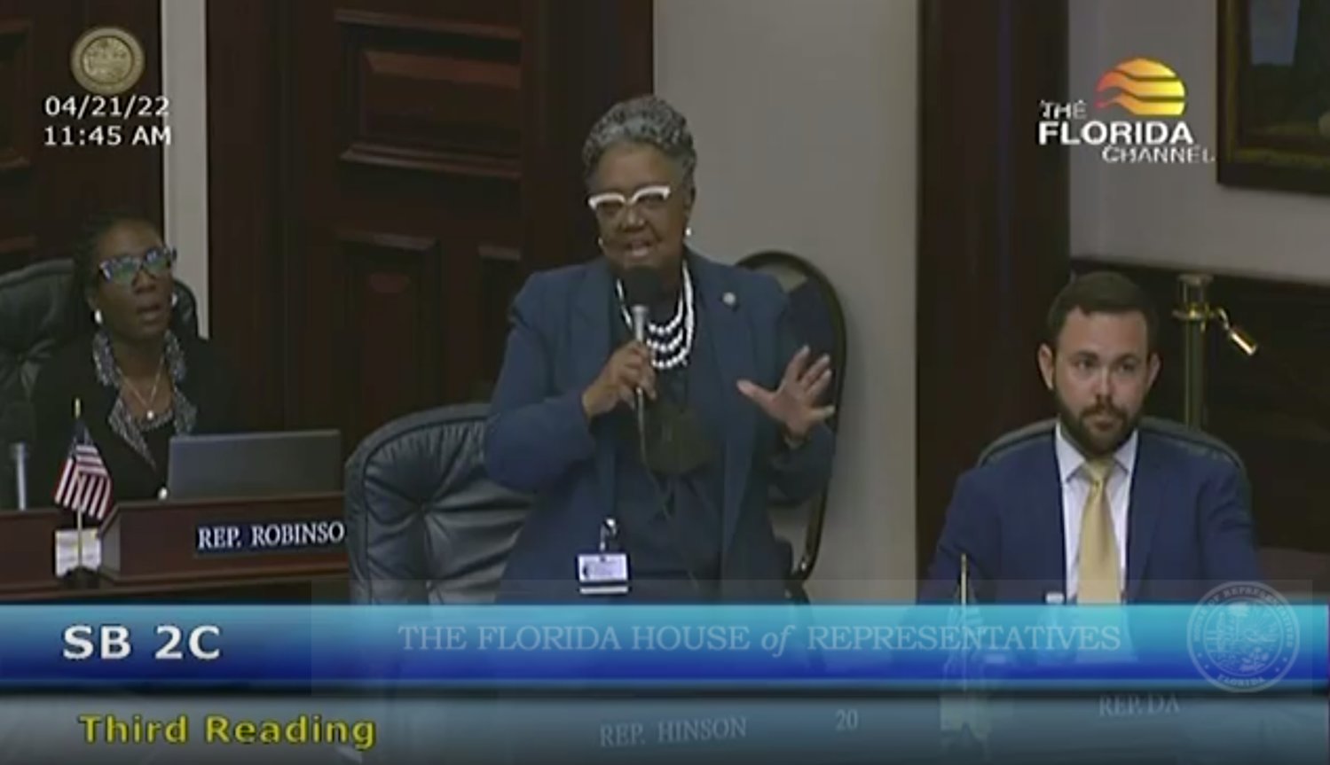 State Representative Yvonne Hayes Hinson (D - Gainesville) attempted to convince legislators to reject the Governor's redistricting map. She was unsuccessful, and her mic was cut off.