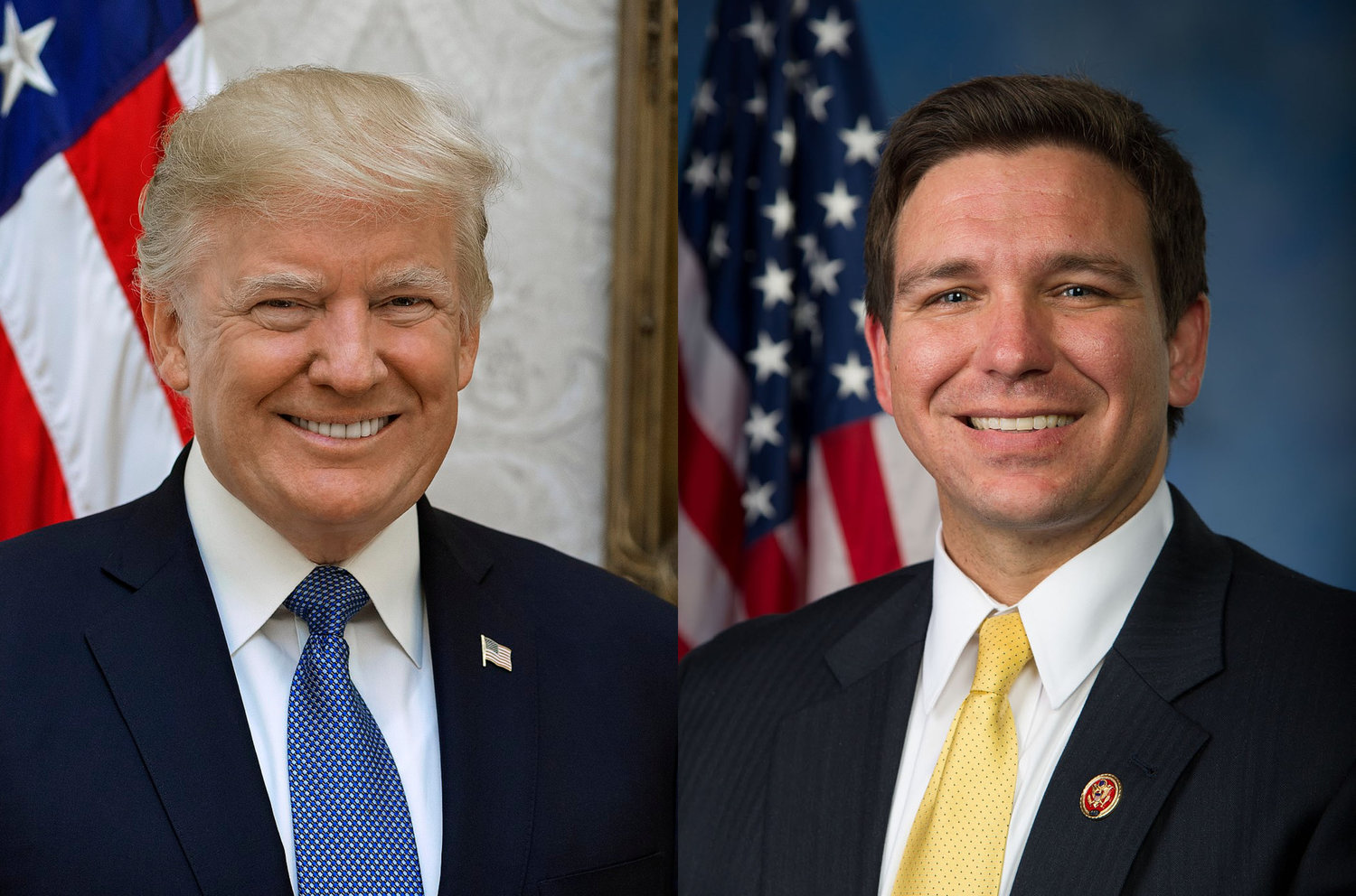 Trump: DeSantis a 'Wounded, Falling Baby Bird'