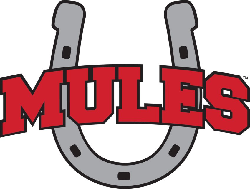 Mules Muleshoe
