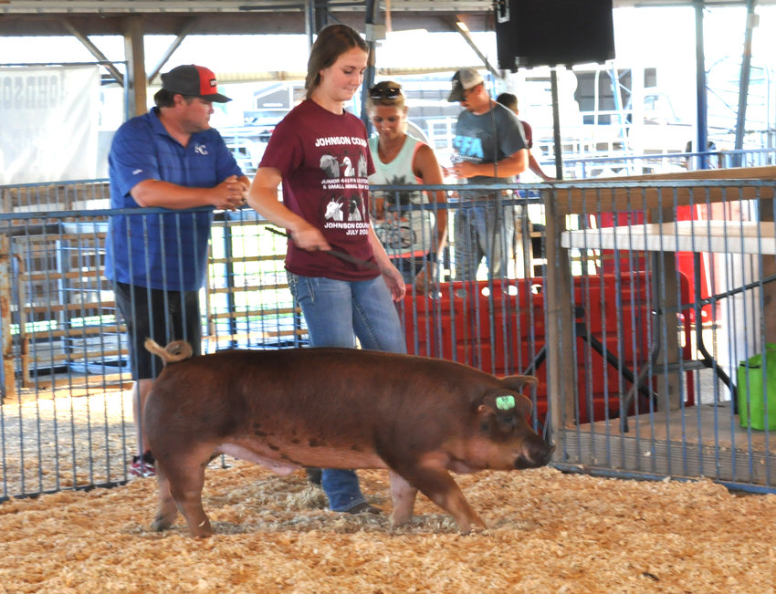 Brianna Munsterman takes part in the swine show at the Johnson County Youth Fair.