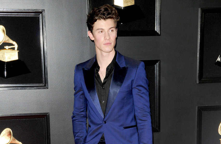 Shawn Mendes admits 'stillness' of quarantine caused anxiety