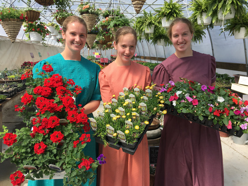 Corine, Miranda, and Charlene Zimmerman of 7 Sisters Greenhouse in La Monte display trays of annuals available for sale Wednesday.
