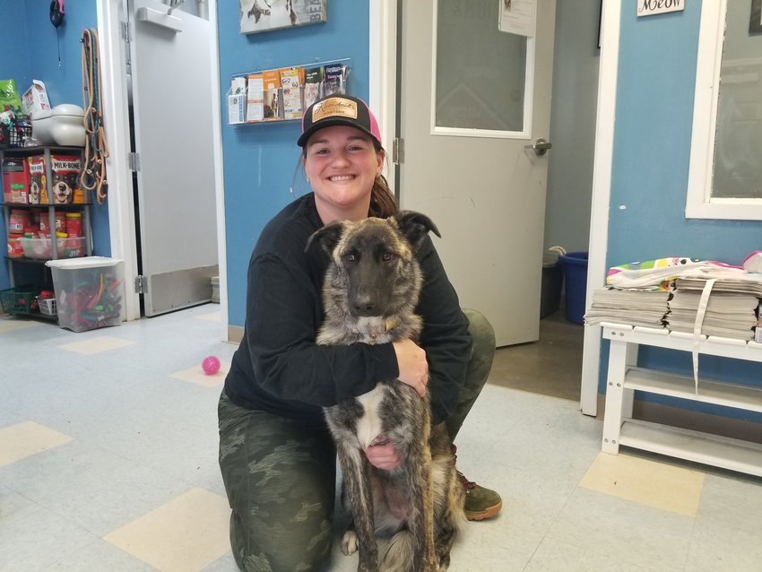 A newly rescued dog, previously abandoned at the dog park, sits with Old Drum Animal Shelter Director Kayla Frank in the lobby of the shelter.