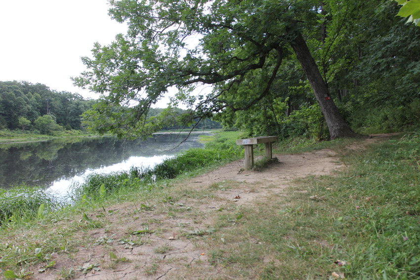 Knob Noster State Park is home to the Buteo Trail which follows the banks of Lake Buteo.