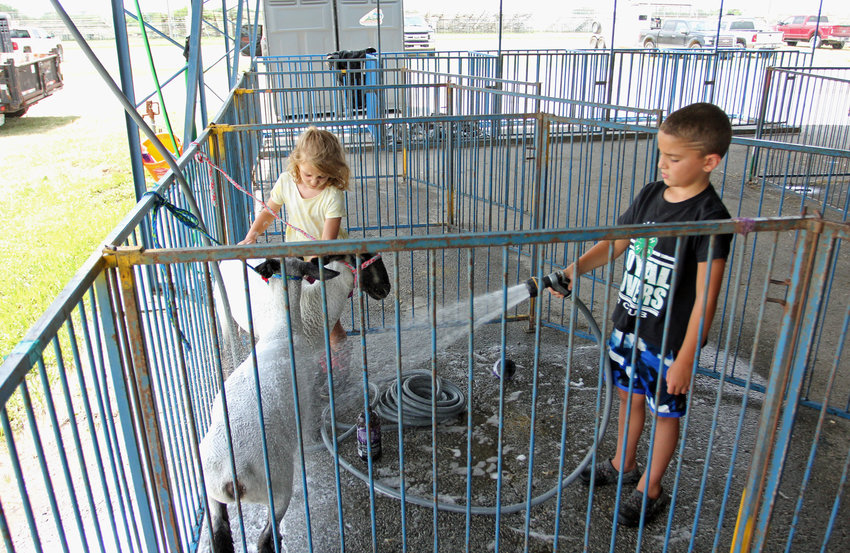 Ellie, 6, and Hayden Dierking, 6, wash their respective lambs Thursday, July 7, while getting ready to show at the Johnson County Fair. The fair will be hosted July 5-10.