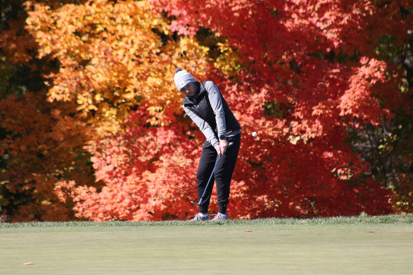 Warrensburg junior Reece Nimmo chips the ball during the MSHSAA Class 3 Championship on Tuesday, Oct. 18, at the Columbia Country Club.