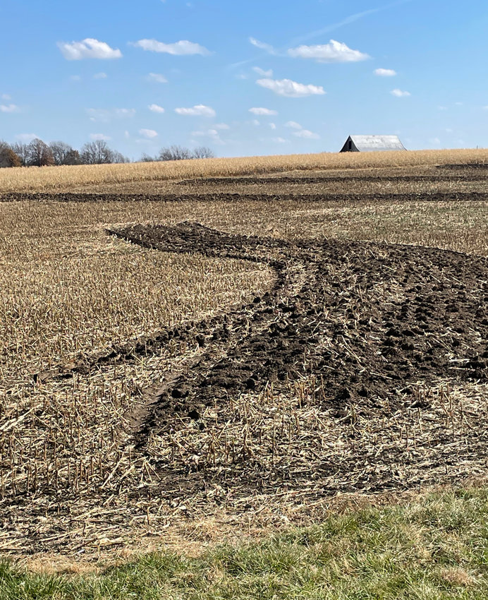 A cornfield outside Otterville is seen half-harvested Thursday. A lack of rain left many farmers no option but to chop up their corn for silage and hope for a better 2023 growing season.