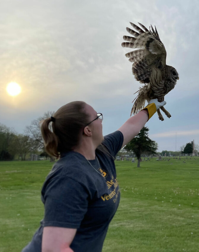 Cassie Berlin with the University of Missouri College of Veterinary Medicine is the primary vet student assigned with Fiddle-Squeak's care. Monday, April 24, the barred owl was released at Crown Hill Cemetery.   Photo by Chris Howell | Sedalia Democrat