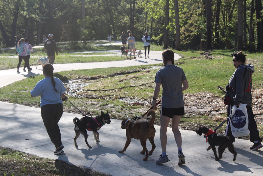 Old Drum Dog Dash participants begin the five kilometer trek on a winding road on Saturday, May 3, at the Knob Noster State Park. Over 40 runners participated in the Saturday&rsquo;s dash, according to Johnson County United Way Executive Director Samantha Crouch.