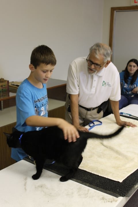 Luke Myers of the Royal Clovers 4-H Club shares information about his cat with judge Jay Pattiz.