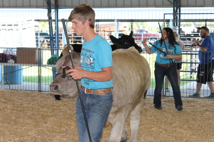 Cooper Parsons of the Mt. Moriah Hustlers 4-H Club shows his final steer as a youth during the Beef Show.