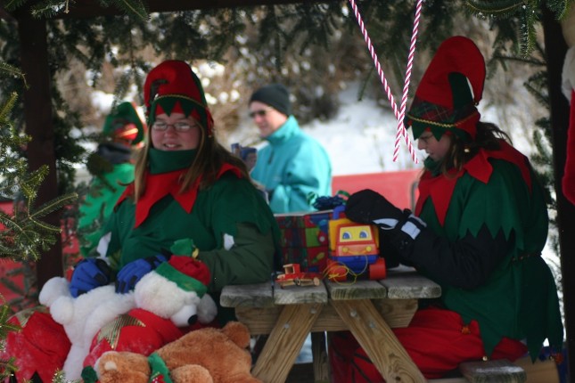 Girl Scout Troop 1207&rsquo;s entry &ldquo;The North Pole&rdquo; took second place and $100 in the Snow City parade.