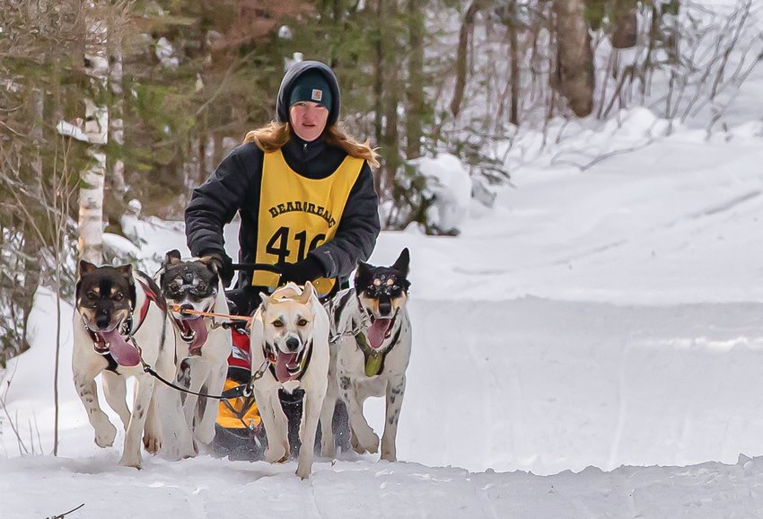 Ashley Thaemert, of Tower, is intent on her team as she competes this week in the John Beargrease 40.
