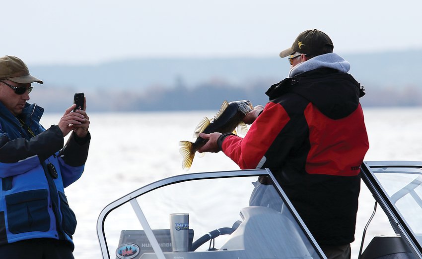 Expect more   photo-worthy walleye from Lake Vermilion this year, based on the latest DNR test netting data.