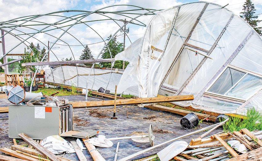 a hoop house was torn to shreds at the Watering Can Greenhouse in Cook