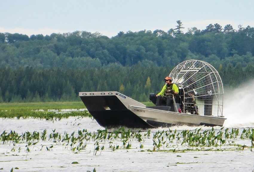 A DNR crew member operates the recently-purchased air boat on Big Rice Lake. Cutting blades that hang out the back below the water line, slice off the leaf stems of the pickerel weed, setting the stage for a possible recovery of wild rice.